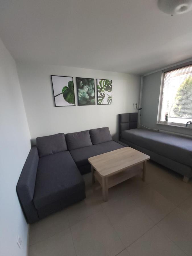 Apartament Z Ogrodem Tychy Ngoại thất bức ảnh